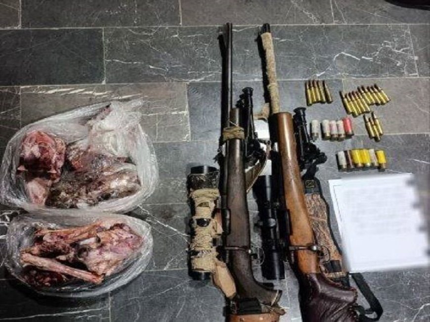 شکارچی غیرمجاز با لاشه ۲ راس قوچ و میش در میناب دستگیر شد