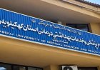 ۶ استاد دانشگاه علوم پزشکی یاسوج در میان ۲ درصد دانشمندان برتر جهان قرار گرفتند