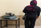 کشف ۴ کیلوگرم هروئین از چمدان یک زن در محور بندرعباس-داراب