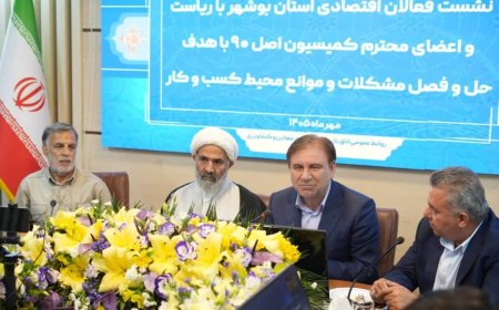 تأکید استاندار بوشهر بر توسعه دولت الکترونیک