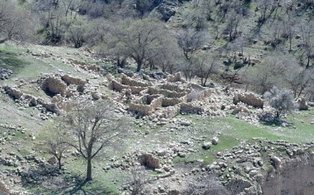 شناسایی روستای صفوی و متروک در جنگل‌های استان فارس