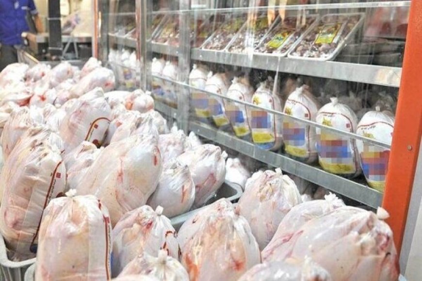 چرایی افزایش قیمت مرغ در فارس؛ توقف صادرات برای تنظیم بازار